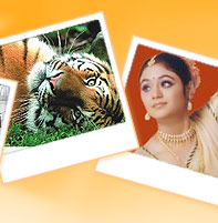 Car Rental Agency in India, Car Coach Rentals in India