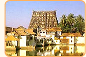 God's Own Country
